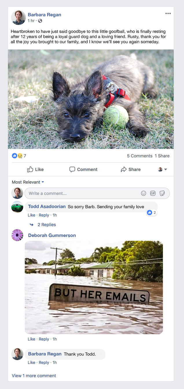 Illustration for article titled Not Quite How It Works: Mom Posted A ‘But Her Emails’ Meme Underneath The Status Her Friend Posted About Putting Her Dog To Sleep